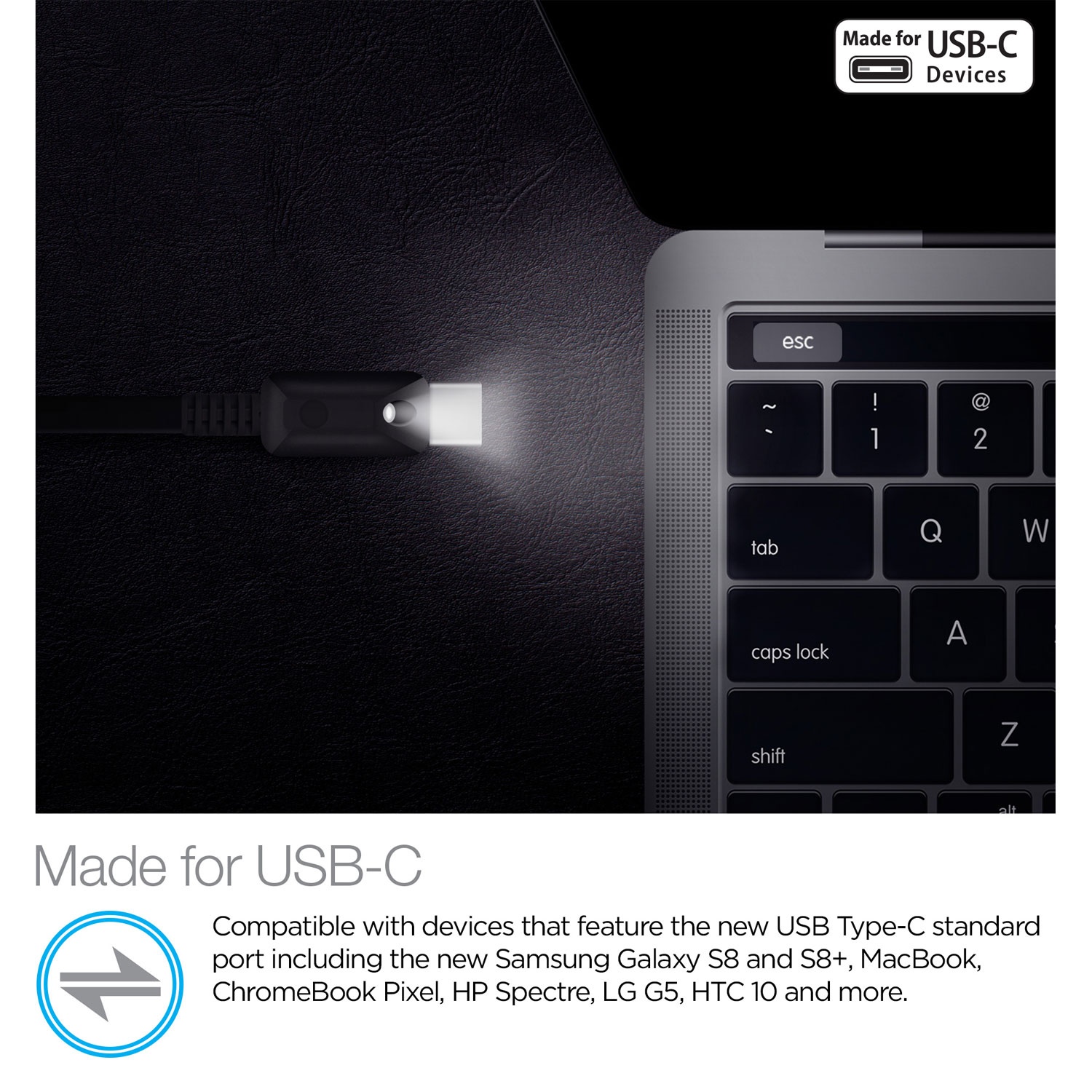 6ft Lighted USB-C Cable