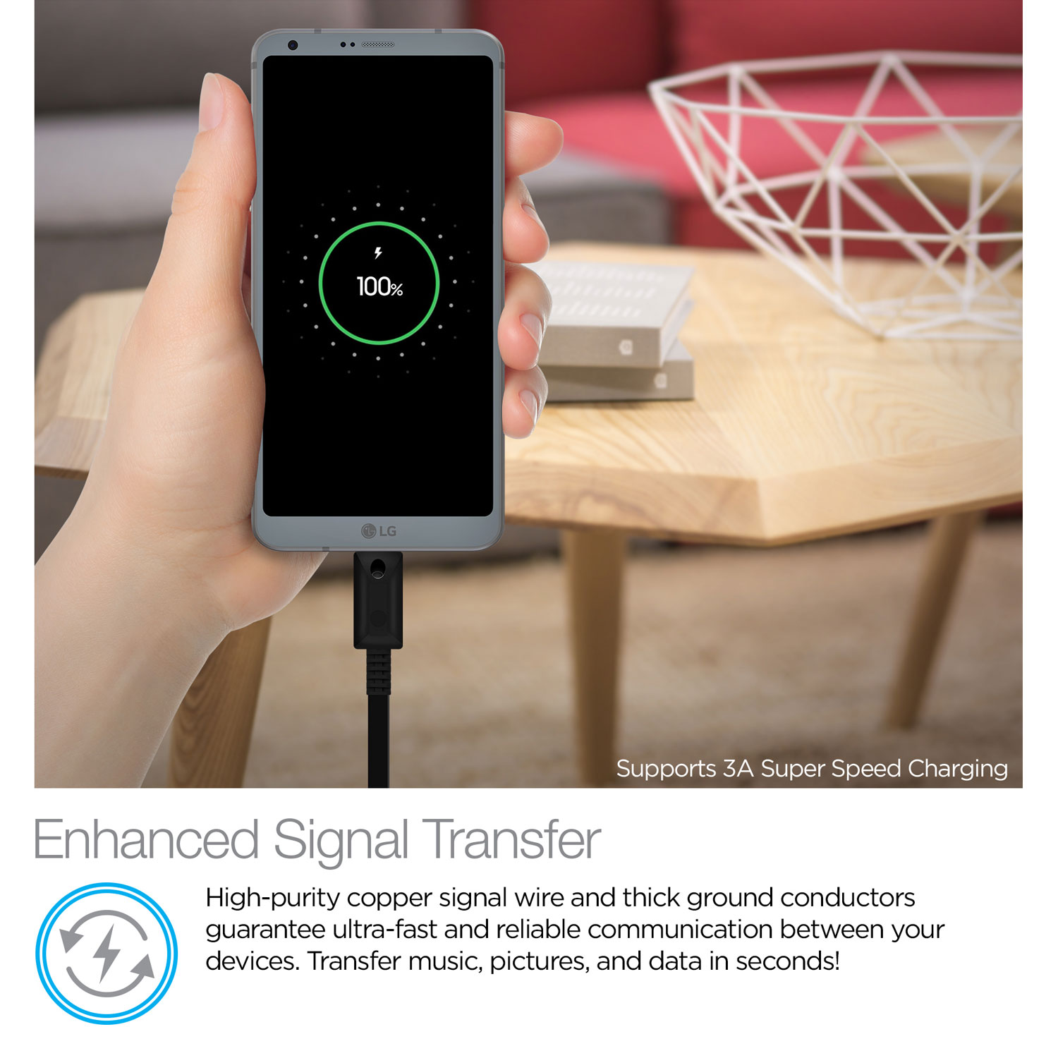 6ft Lighted USB-C Cable