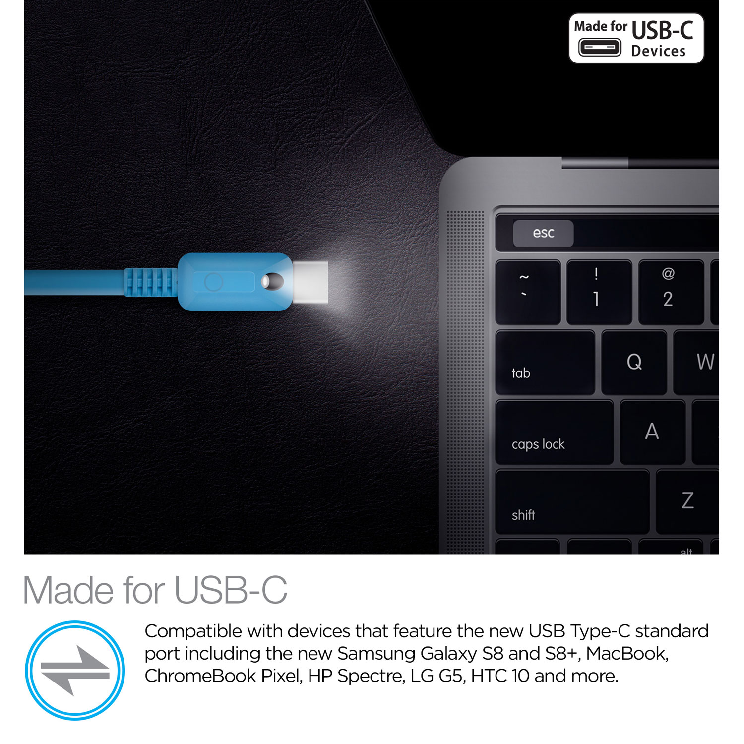 6ft Lighted USB-C Cable