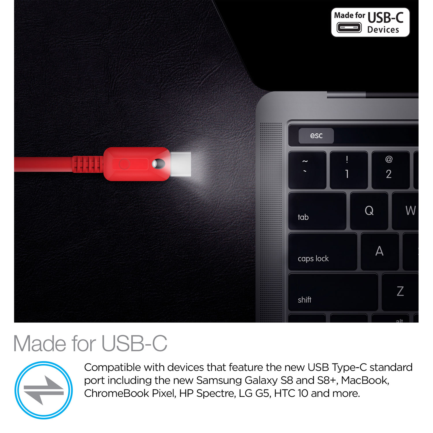 6ft Lighted USB-C Cable