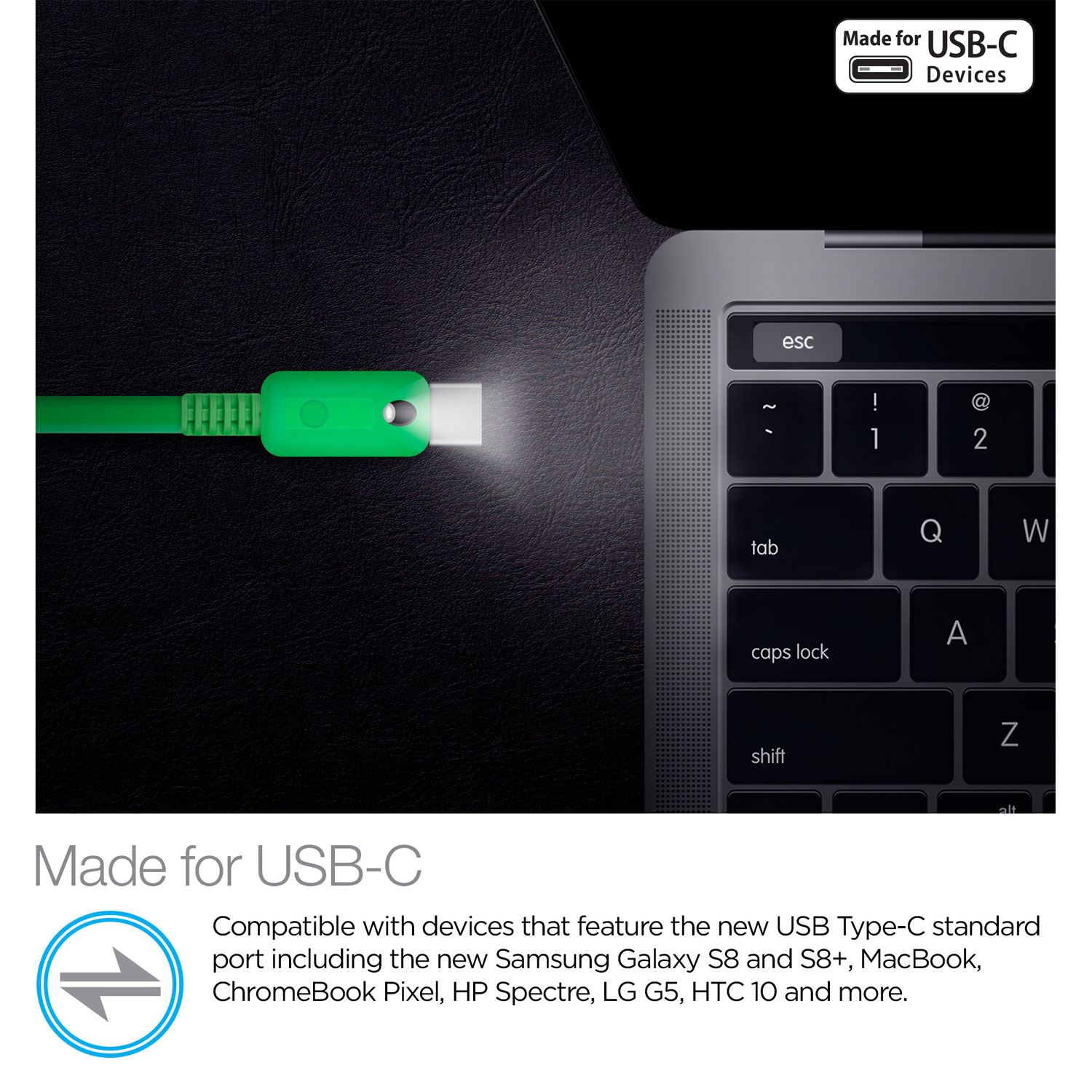 6ft Lighted USB-C Cable