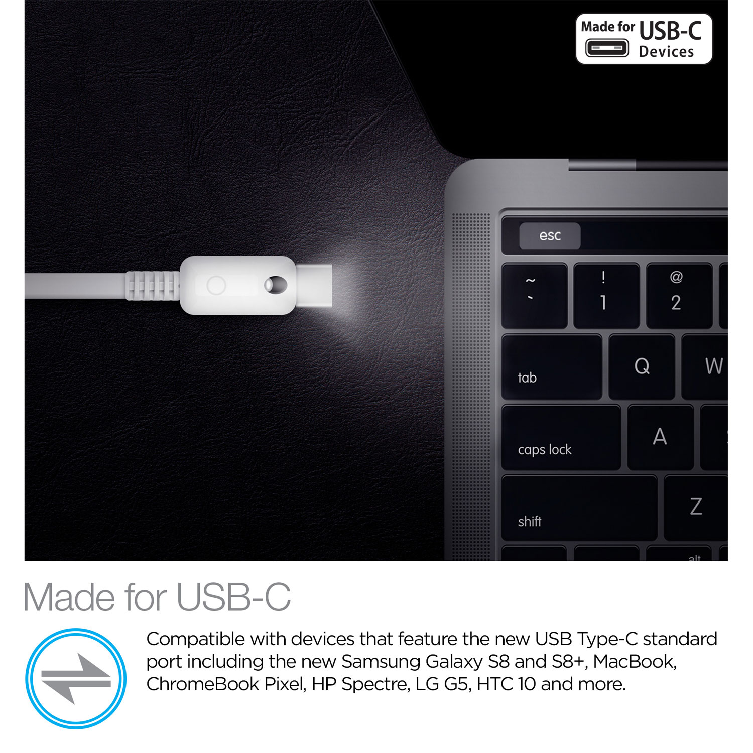 6ft Lighted USB-C Cable