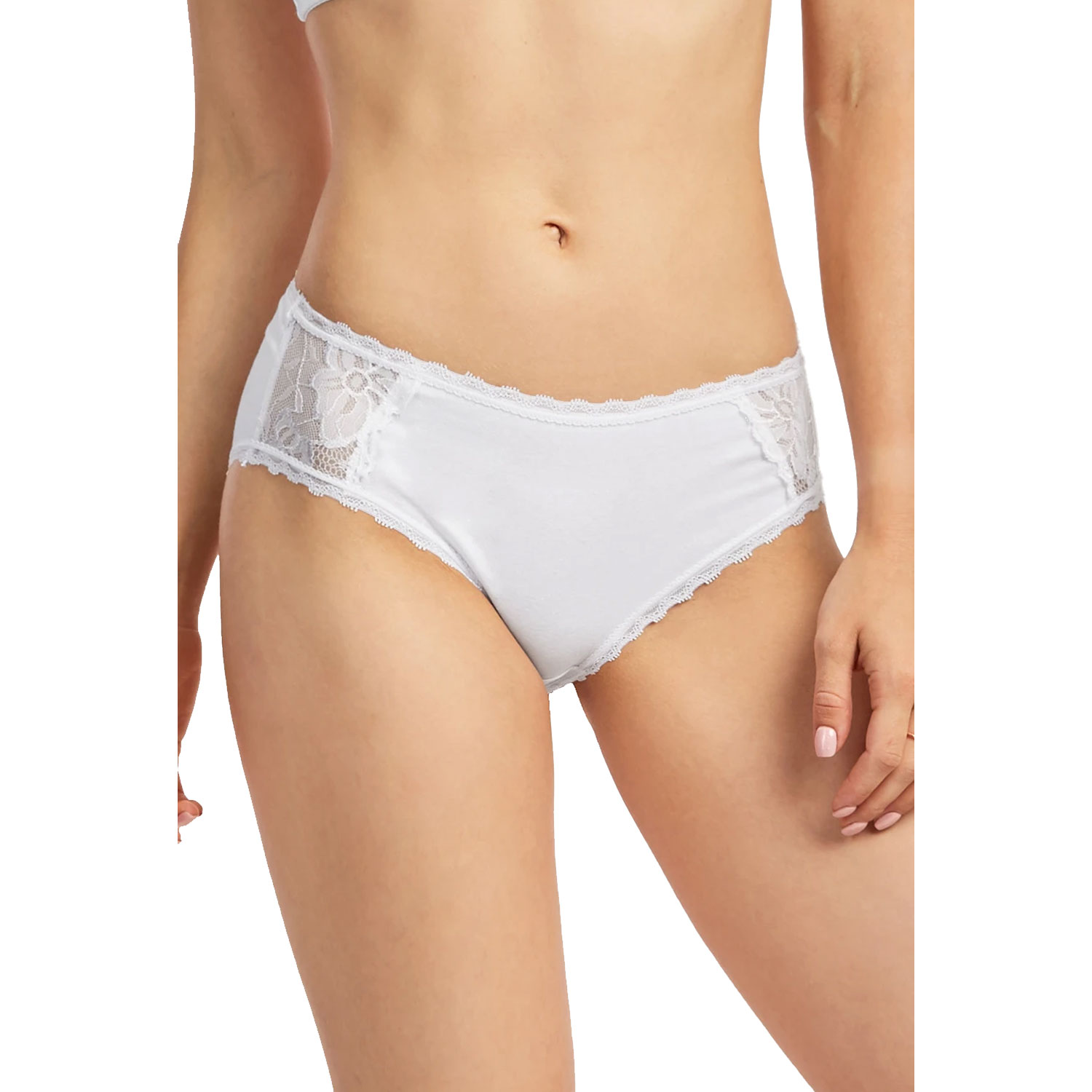 6 or 12-Pack Ladies Cotton Bikini Panty Extended