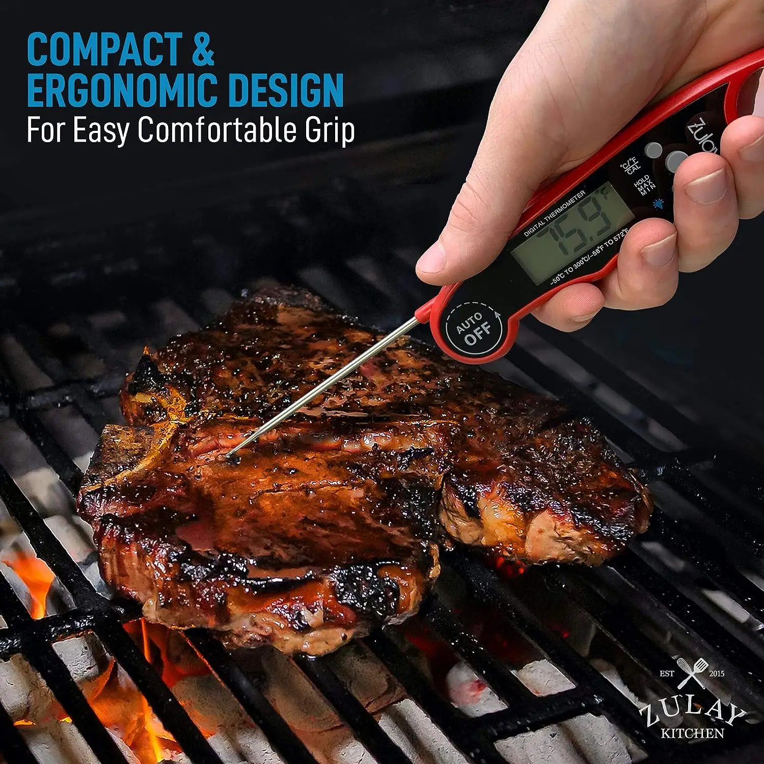 Digital Meat Thermometer