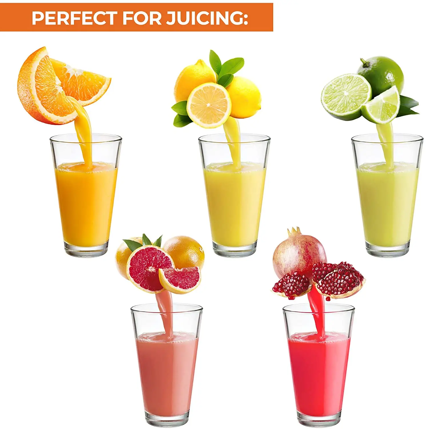 Professional Heavy Duty Citrus Juicer