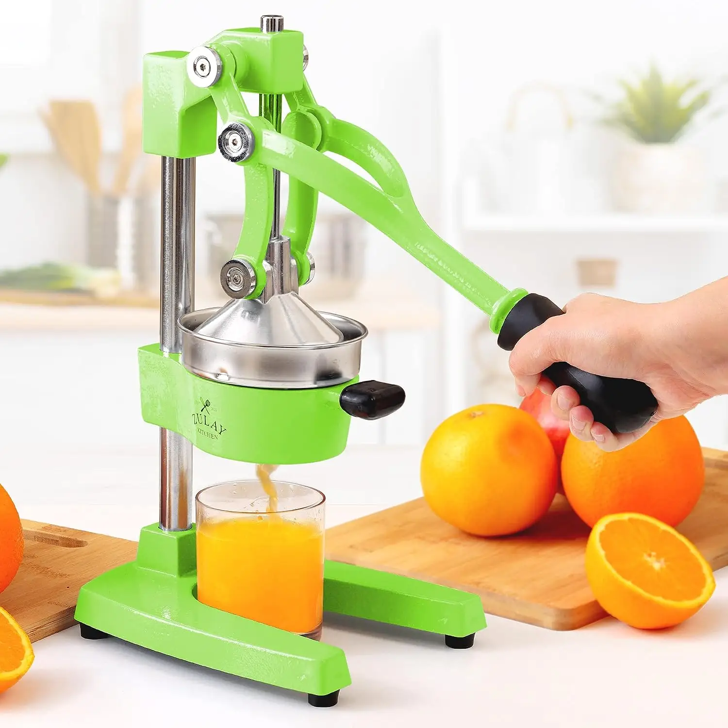 Professional Heavy Duty Citrus Juicer