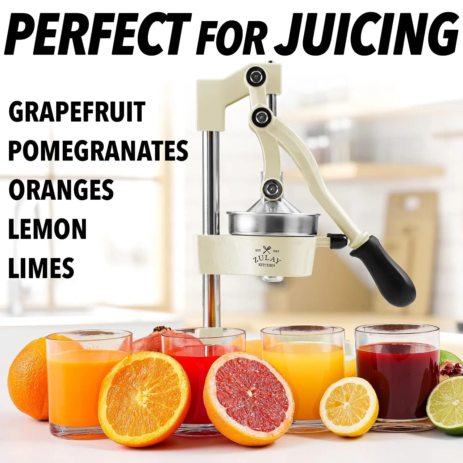 Professional Heavy Duty Citrus Juicer