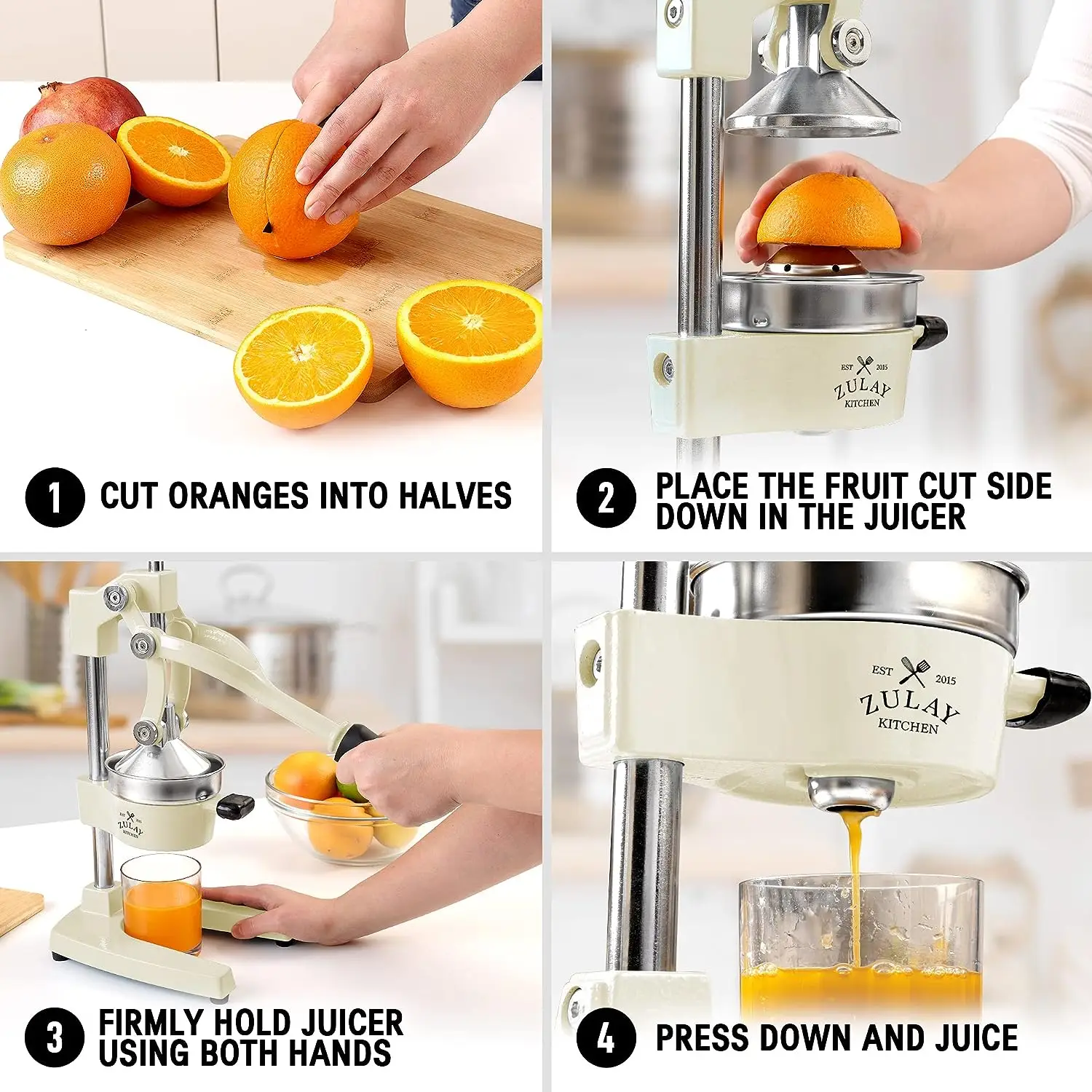 Professional Heavy Duty Citrus Juicer