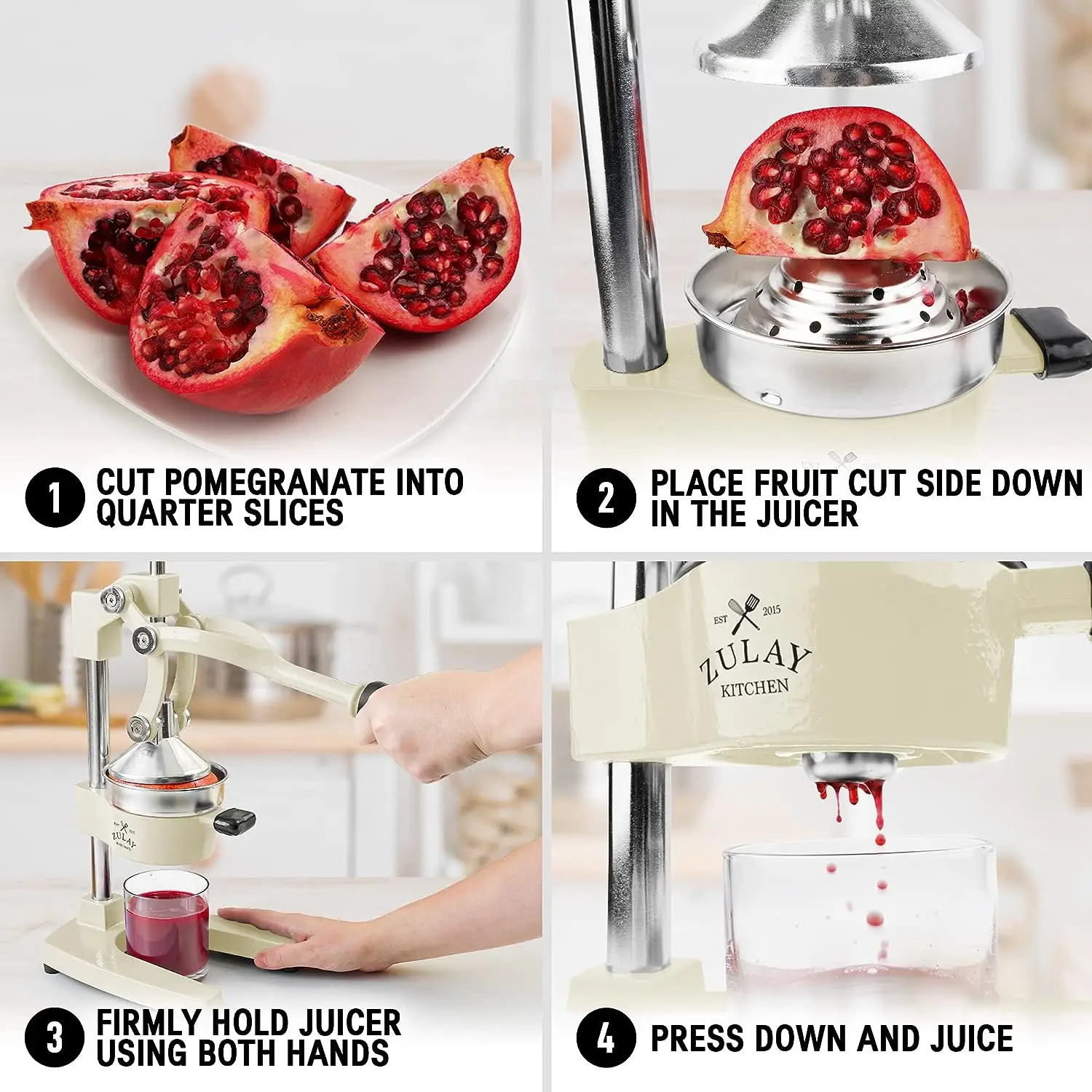 Professional Heavy Duty Citrus Juicer