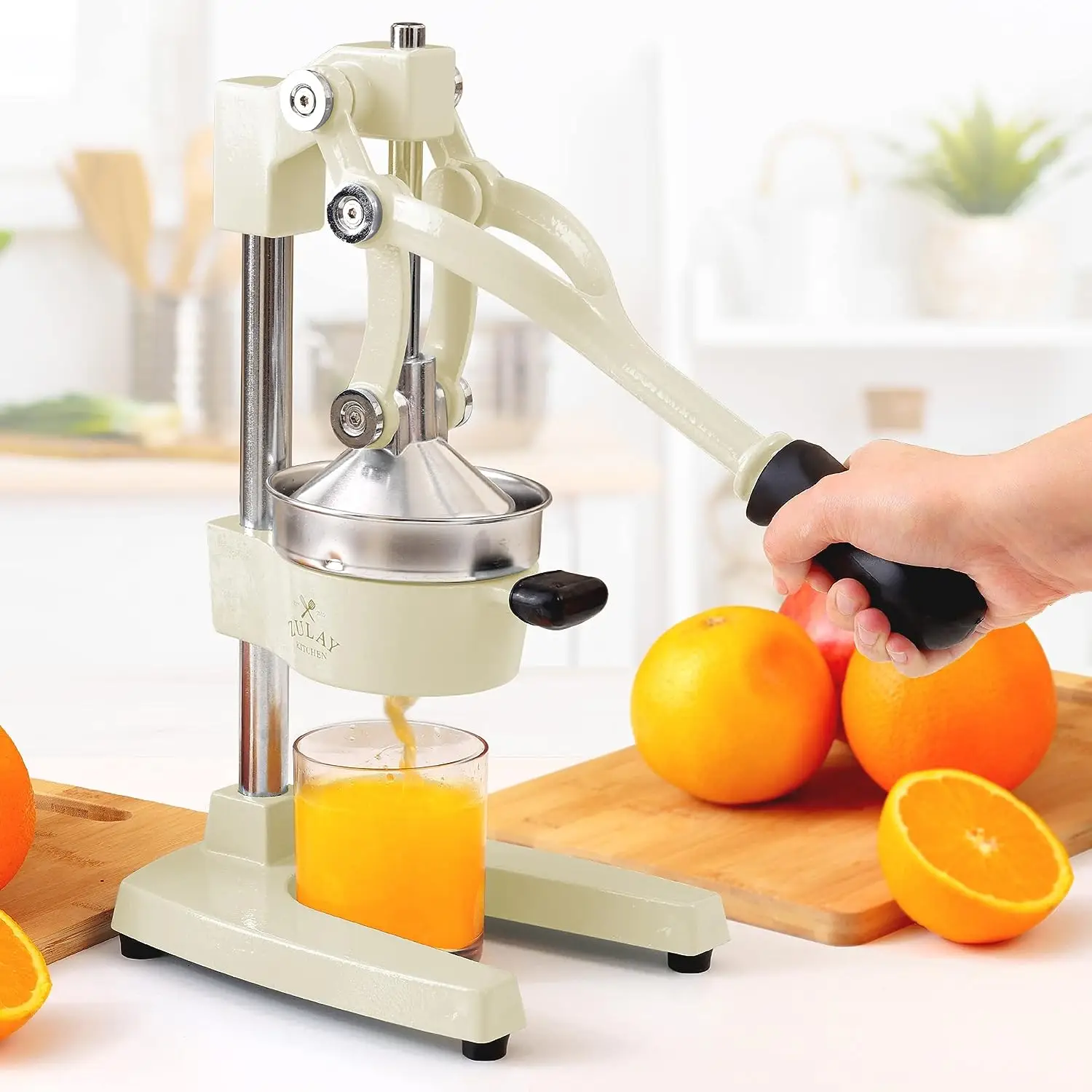 Professional Heavy Duty Citrus Juicer