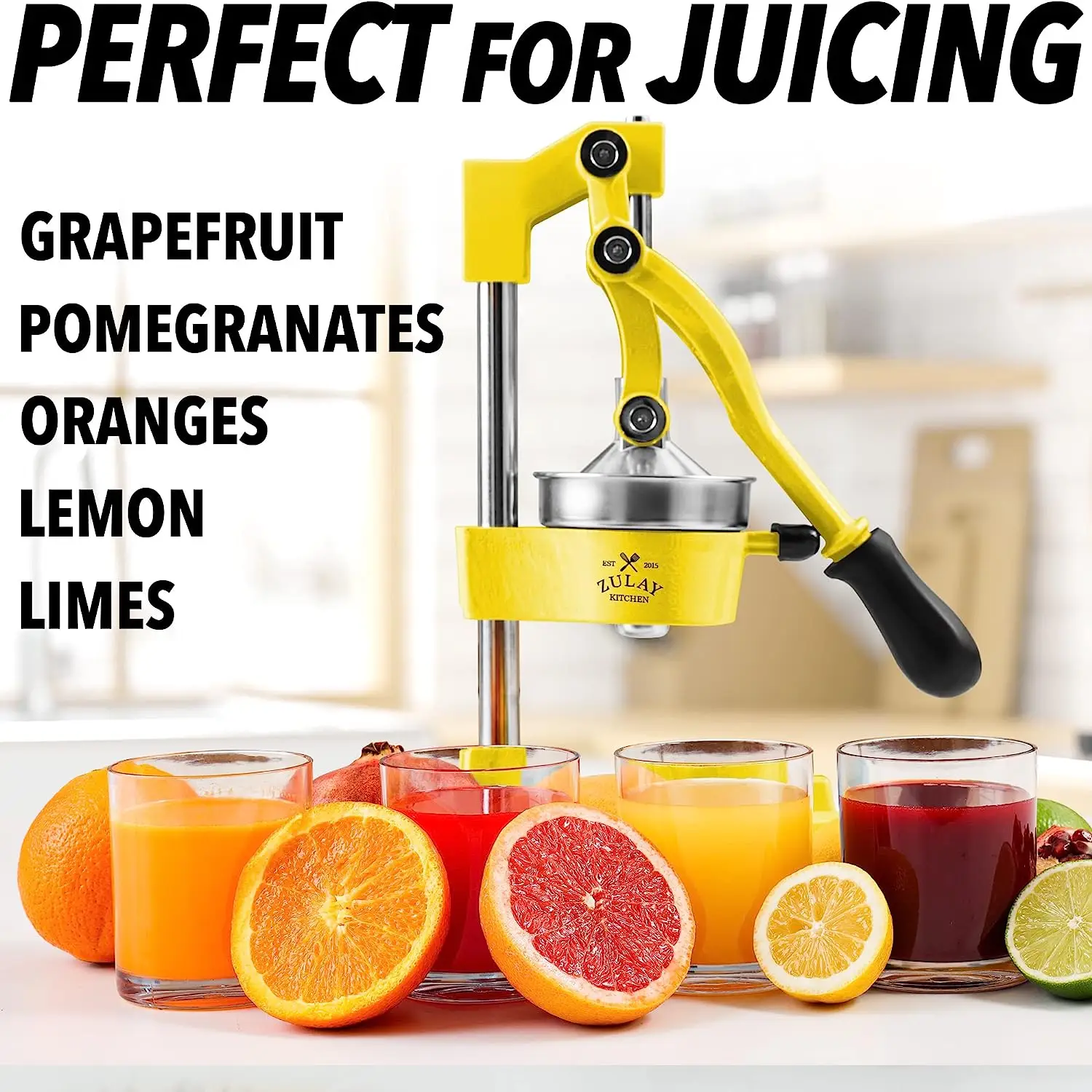 Professional Heavy Duty Citrus Juicer