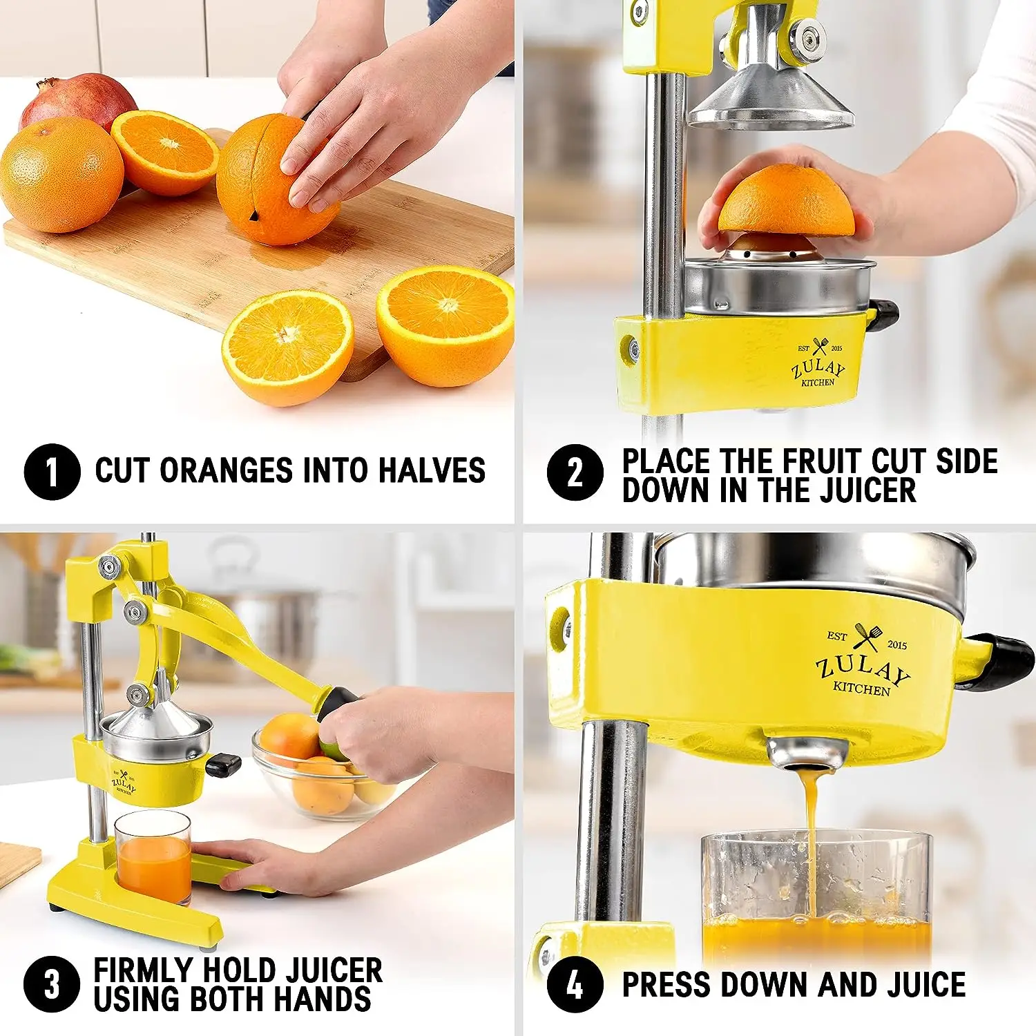 Professional Heavy Duty Citrus Juicer