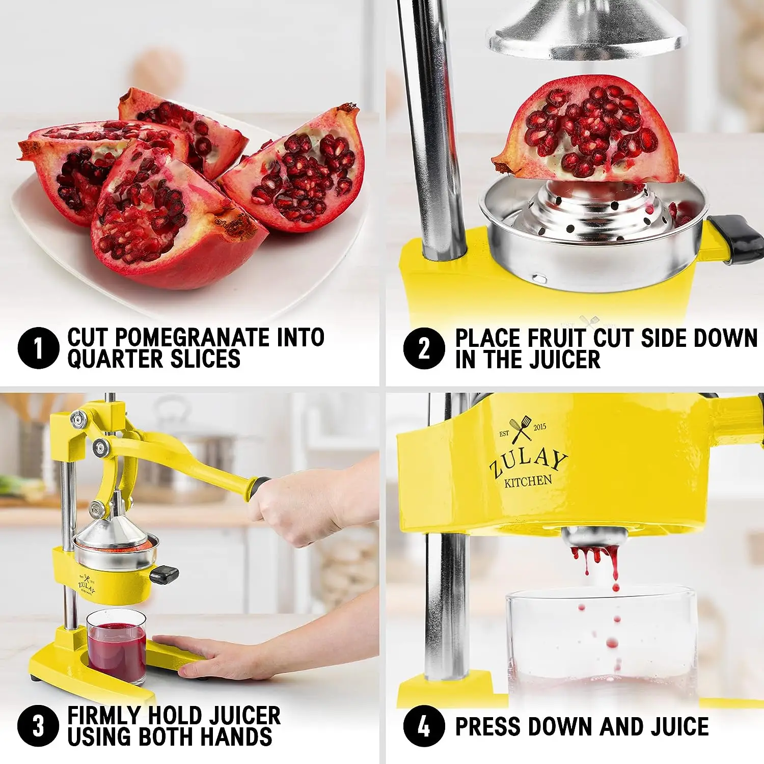 Professional Heavy Duty Citrus Juicer