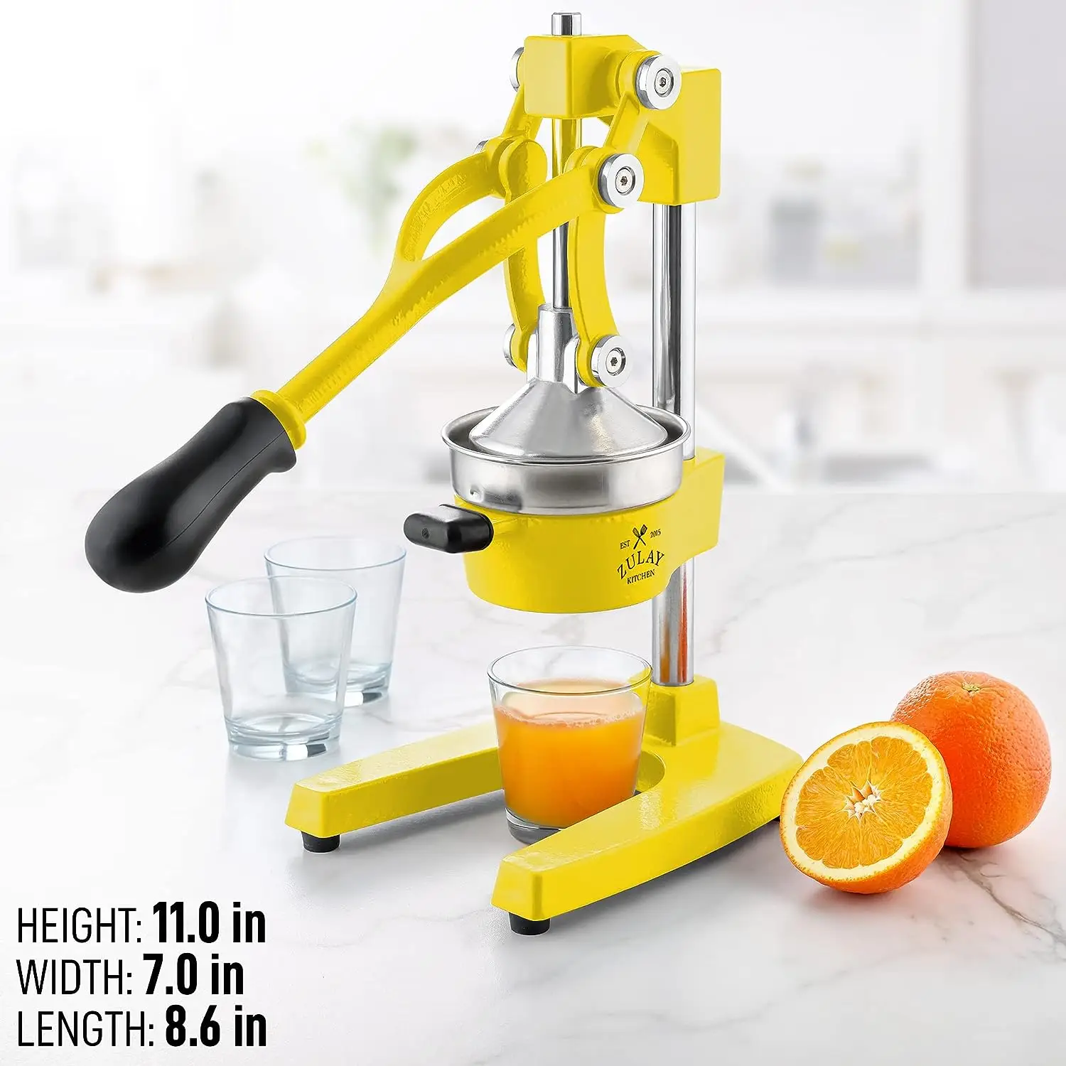 Professional Heavy Duty Citrus Juicer