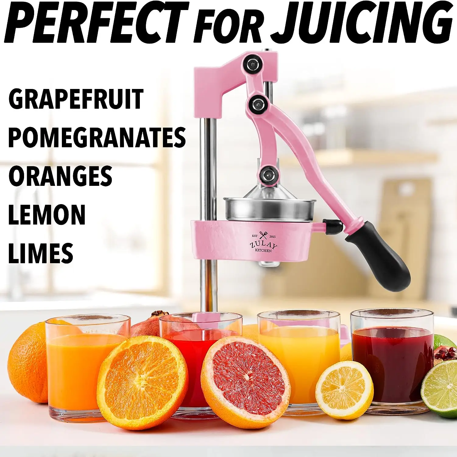 Professional Heavy Duty Citrus Juicer