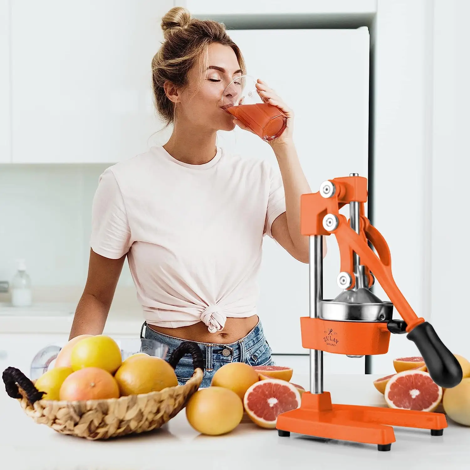 Professional Heavy Duty Citrus Juicer