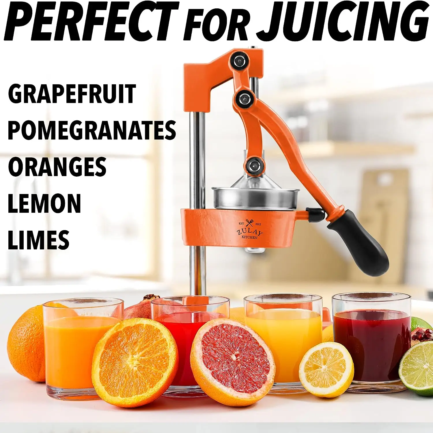 Professional Heavy Duty Citrus Juicer