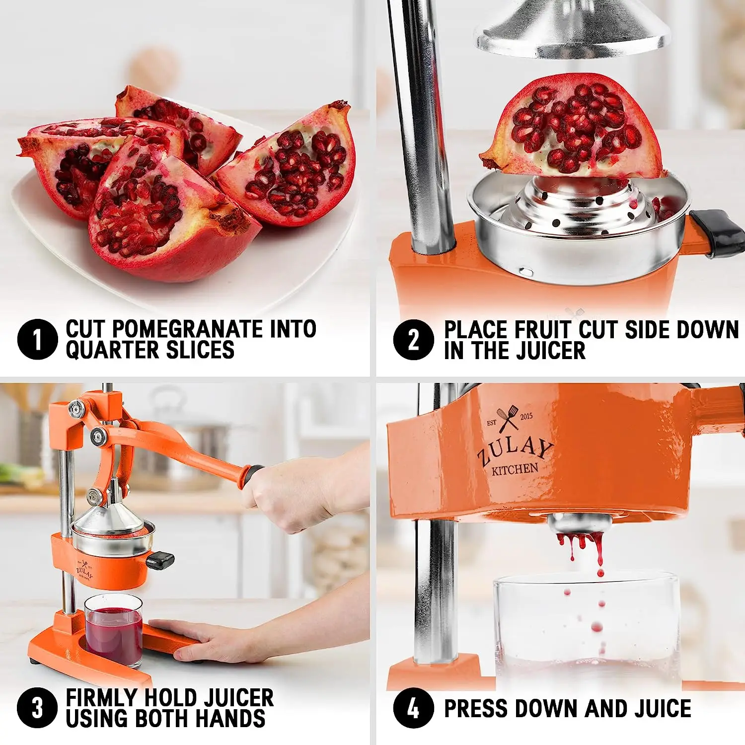 Professional Heavy Duty Citrus Juicer