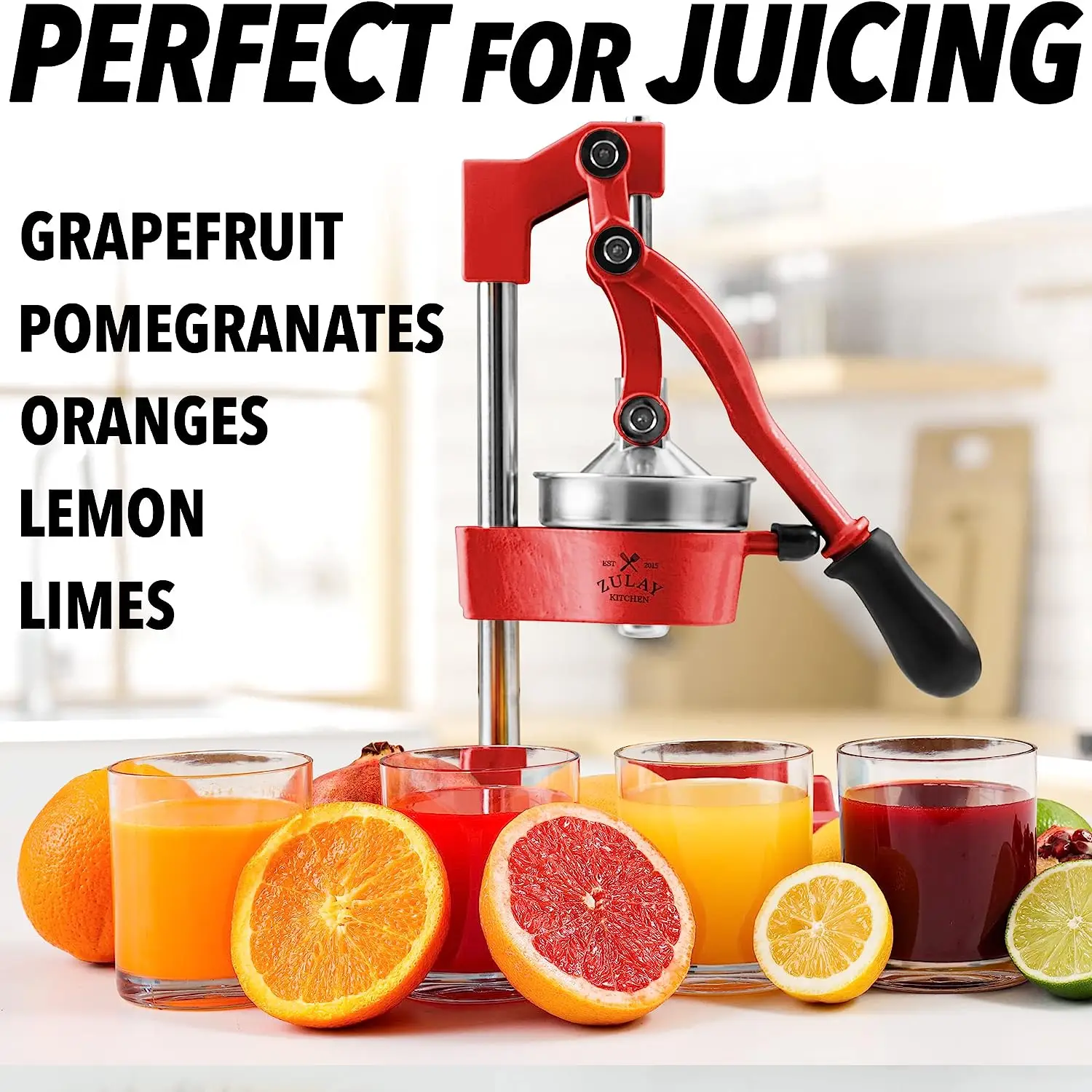 Professional Heavy Duty Citrus Juicer