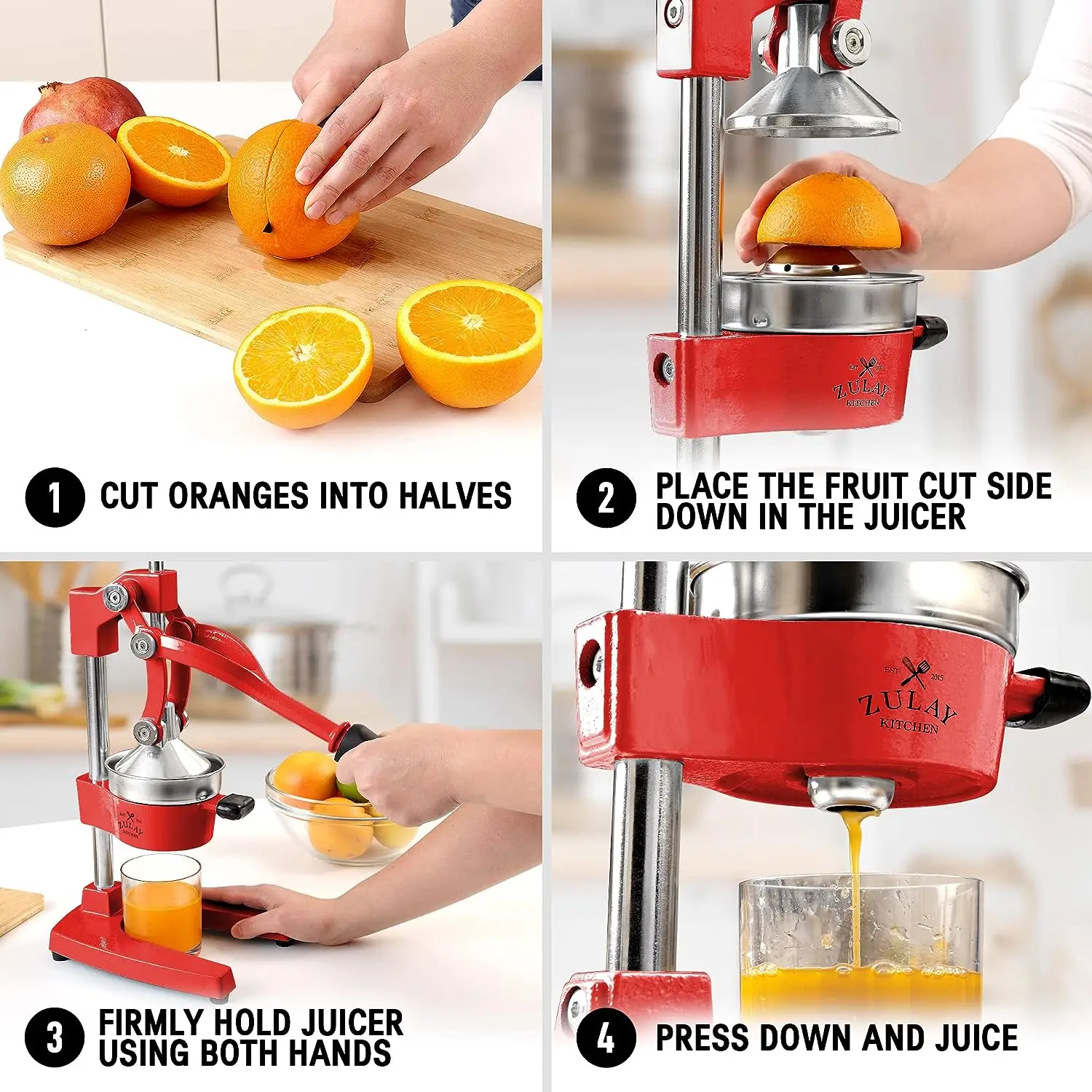 Professional Heavy Duty Citrus Juicer