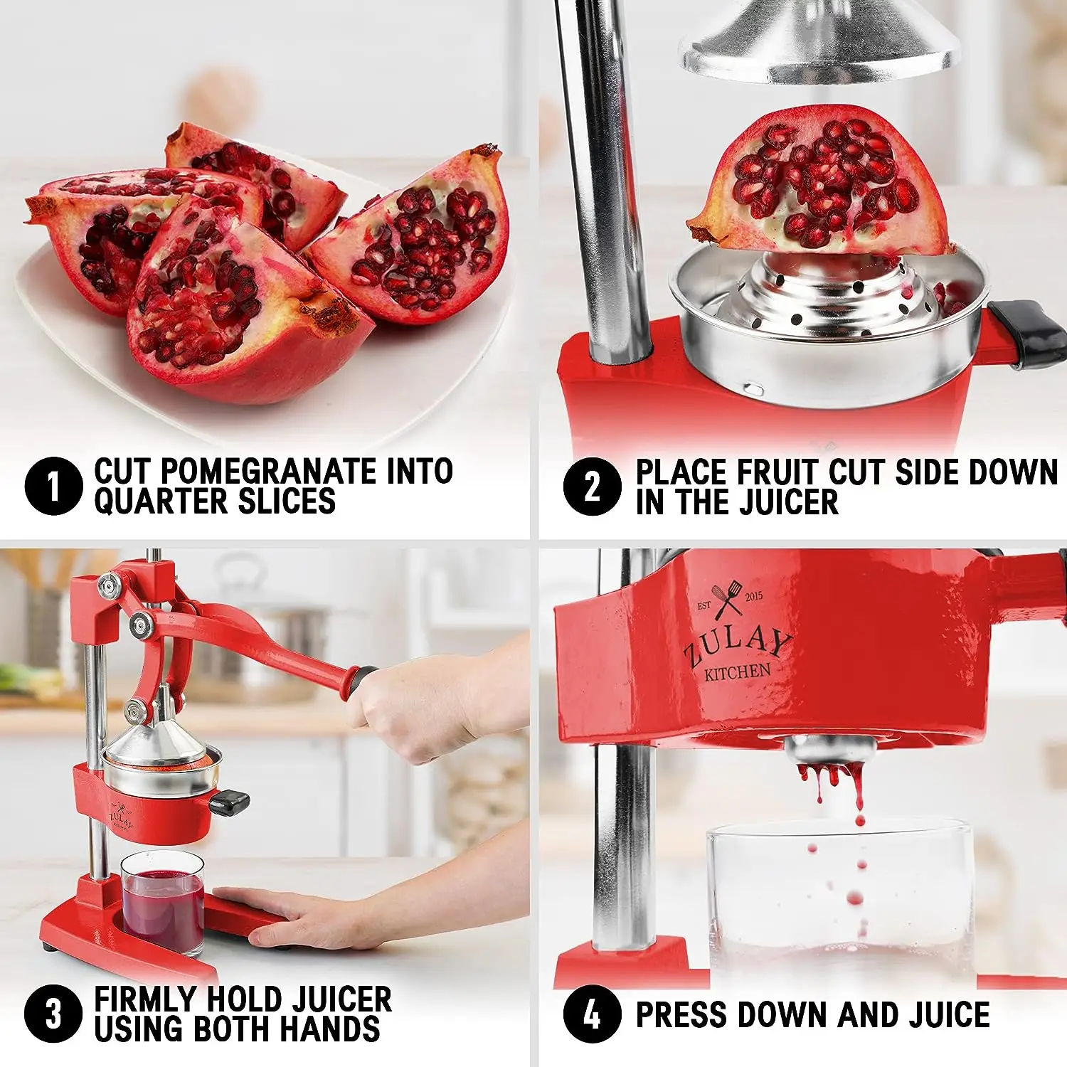 Professional Heavy Duty Citrus Juicer