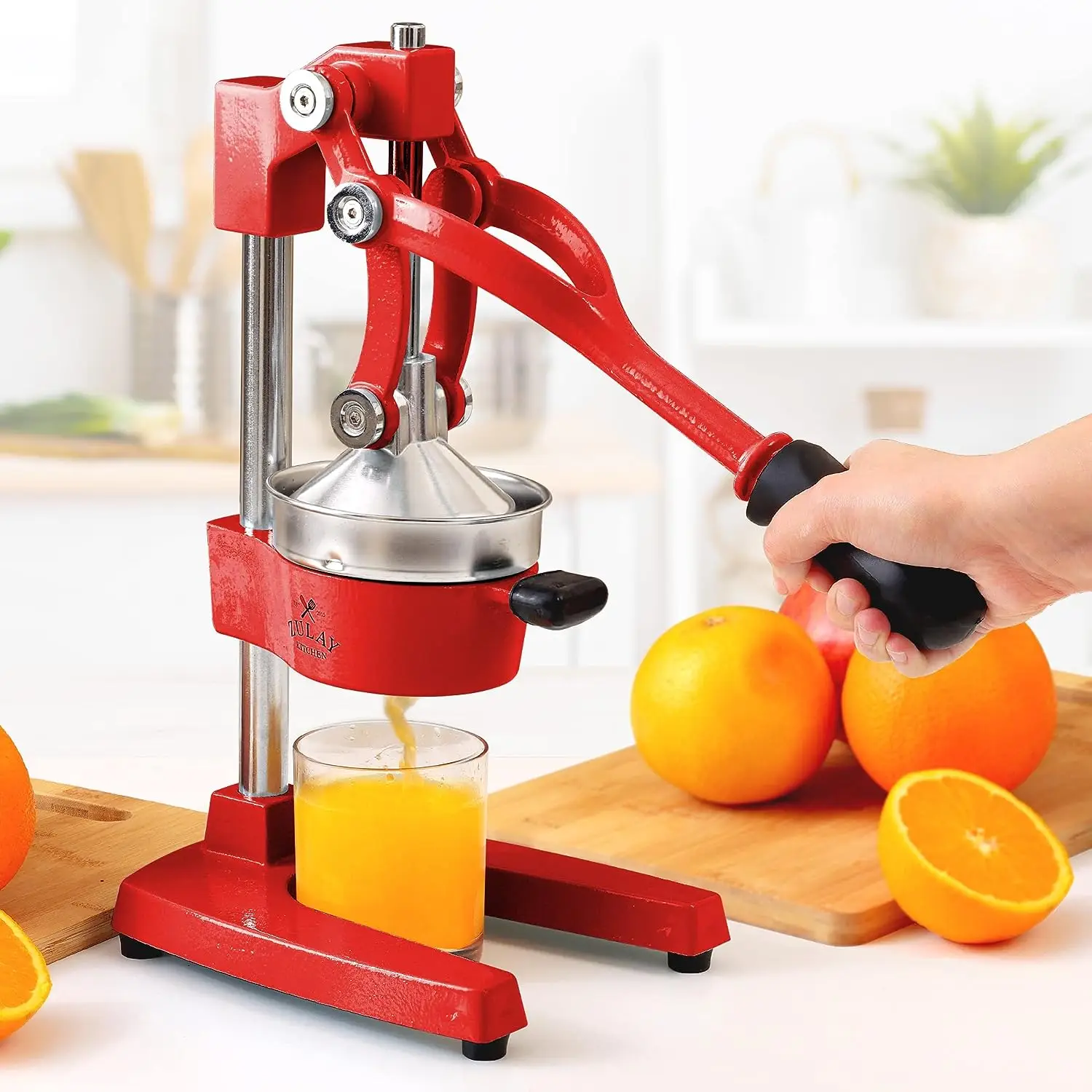 Professional Heavy Duty Citrus Juicer