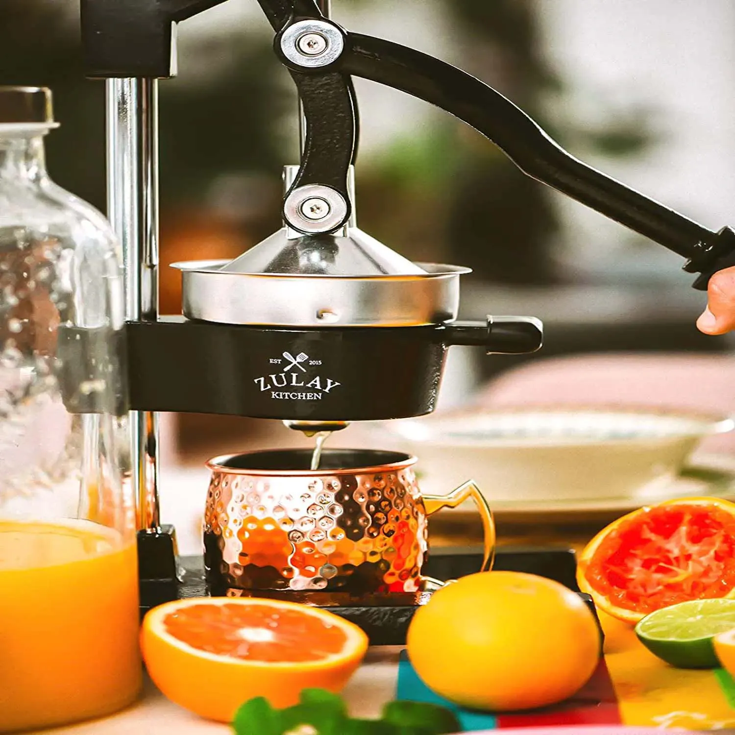 Professional Heavy Duty Citrus Juicer