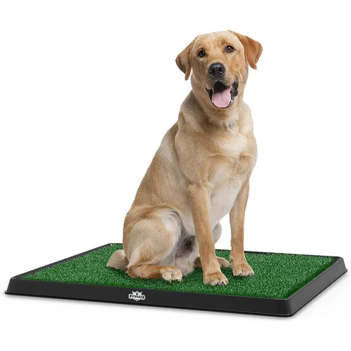 Artificial Grass Puppy Potty Pad Collection