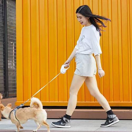 Go Shine Leash