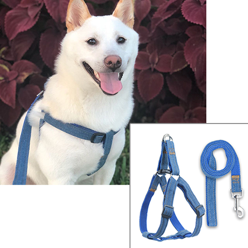 Denim Harness For Dogs And Cats