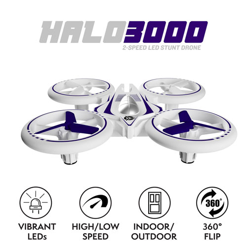 Mini RC Drone