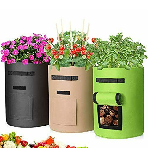 3 Pack Garden Plant Fabric Grow Bags (7 Gallons Each) - Double - Sided Windows