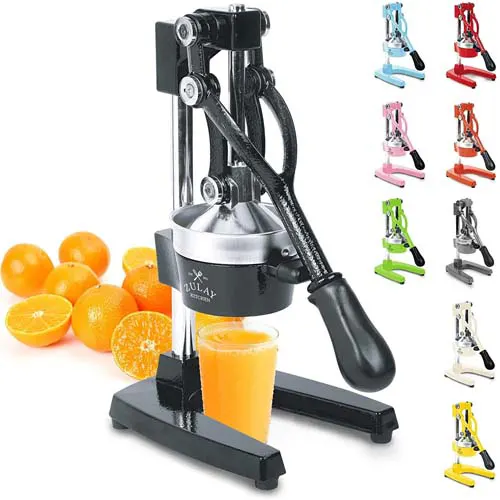 Professional Heavy Duty Citrus Juicer