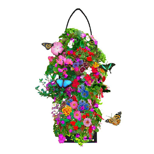 Hummingbird And Butterfly Hanging Seed Bag With Soil Block
